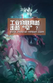 华体会