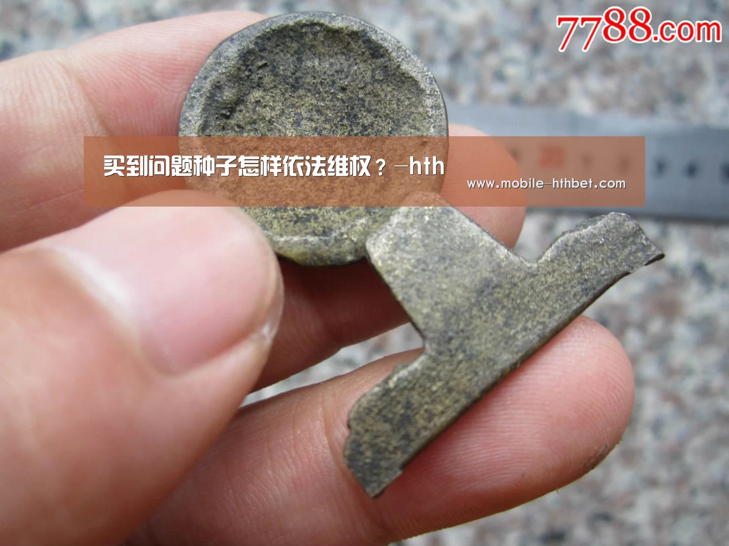 买到问题种子怎样依法维权?-hth(图2) 买到问题种子怎样依法维权?-hth(图2)
