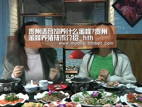 华体会登陆