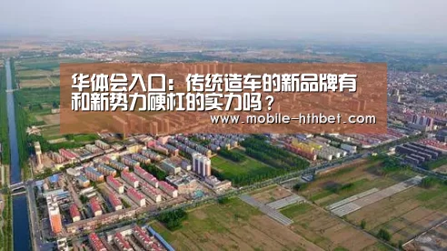 华体会入口：传统造车的新品牌有和新势力硬杠的实力吗？(图3)